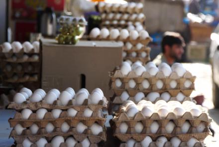 شکایت شهروندان از بلند رفتن بهای تخم و گوشت مرغ